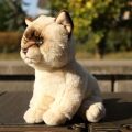 Rappa Plyšová kočka Ragdoll 23 cm SOFT COLLECTION, ECO-FRIENDLY